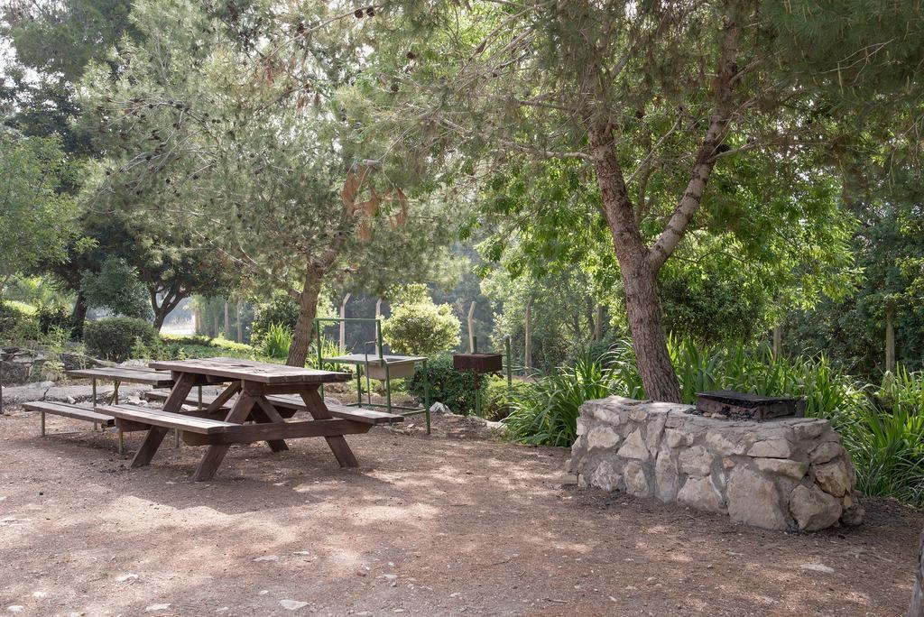 אתר נופש זוהר בדשא